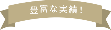豊富な実績!
